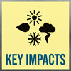 Key Impacts Icon