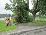 Click for a larger view of damage in Verona, NY area.